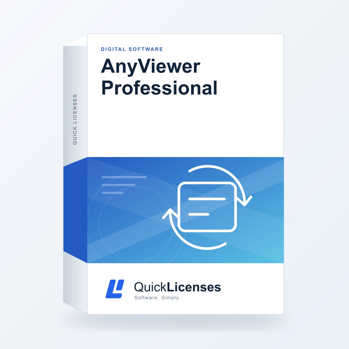 AnyViewer Professional